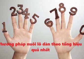 Phương pháp nuôi lô dàn theo tổng hiệu quả nhất